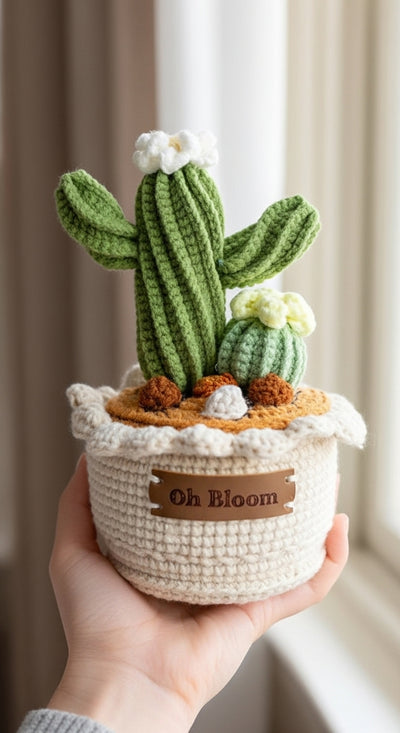 Cactus Pot - The Desert Zen