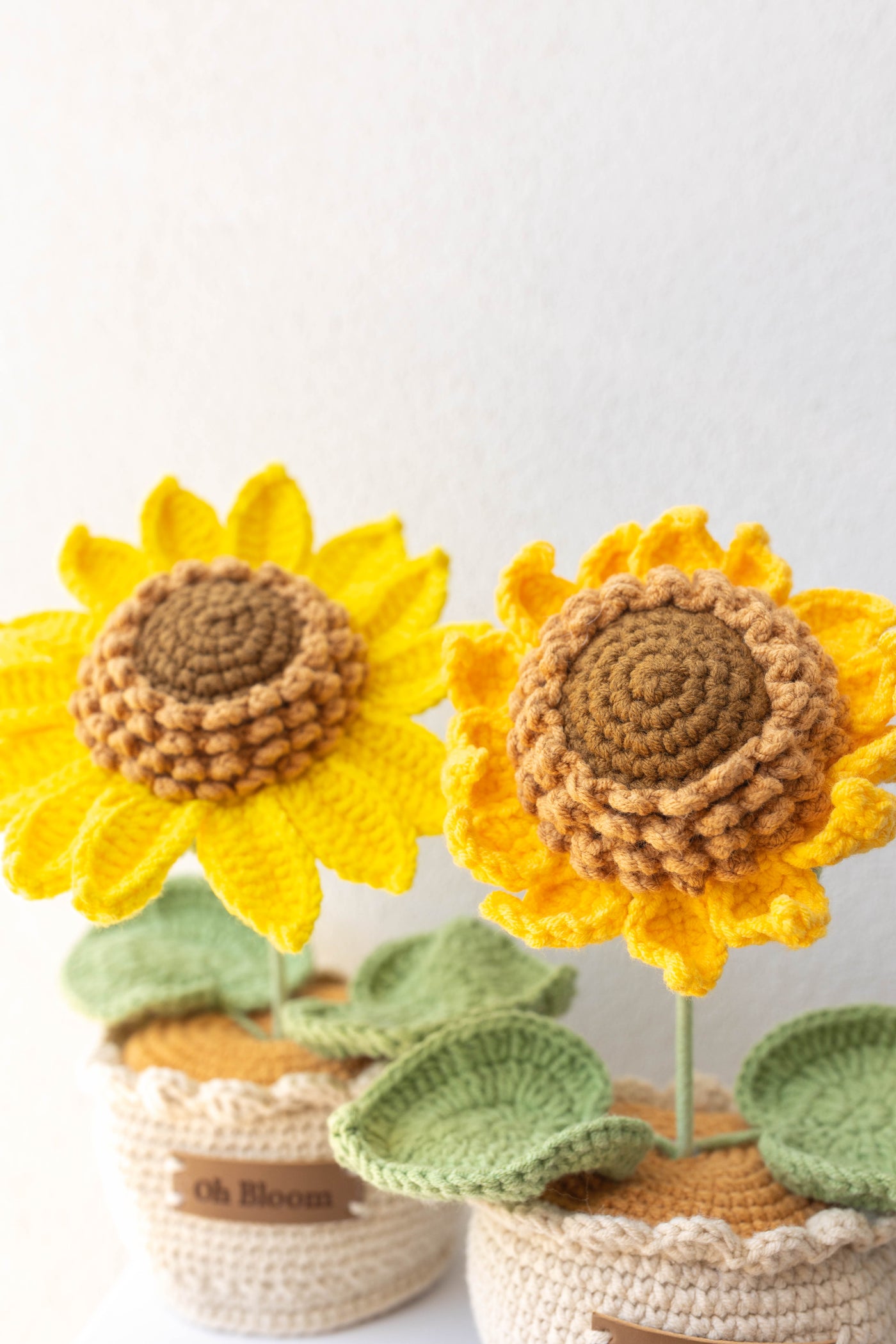 Sunshine Duo Bundle - Two Sunflowers