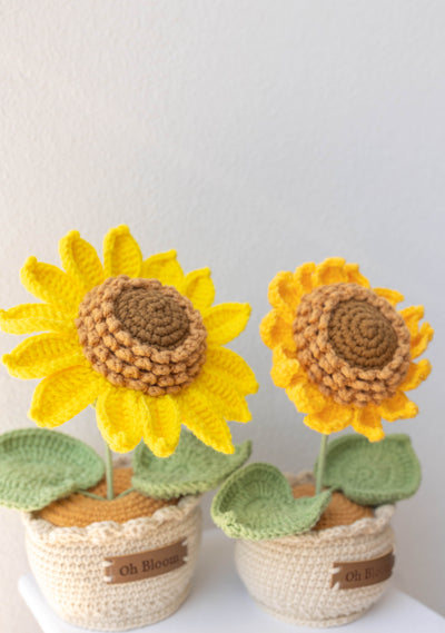 Sunshine Duo Bundle - Two Sunflowers