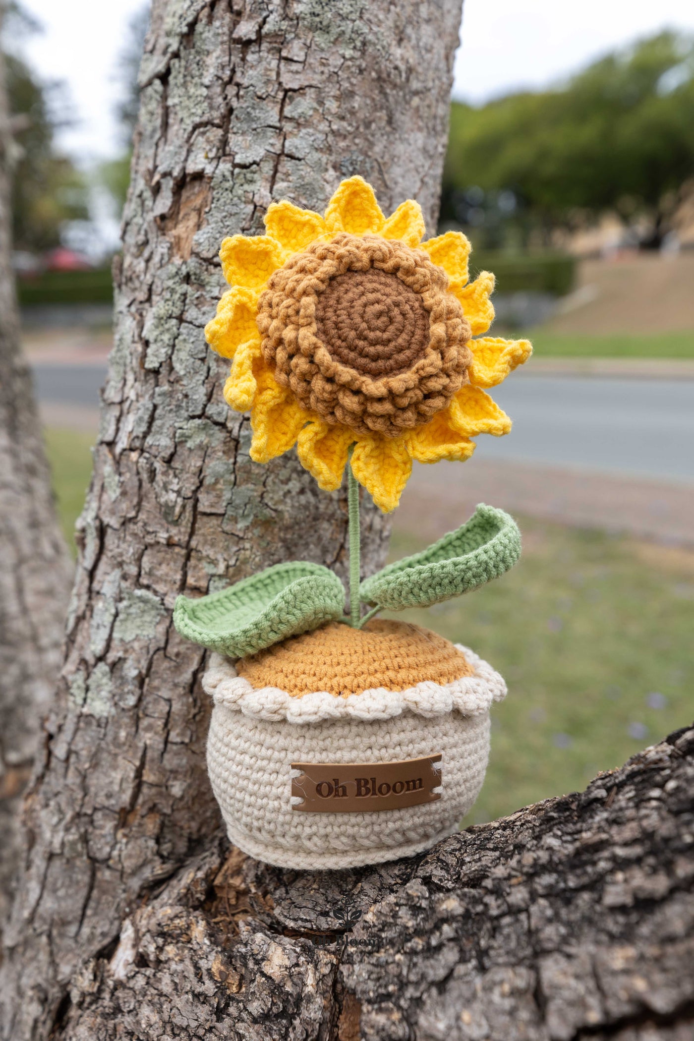 Sunflower Pot