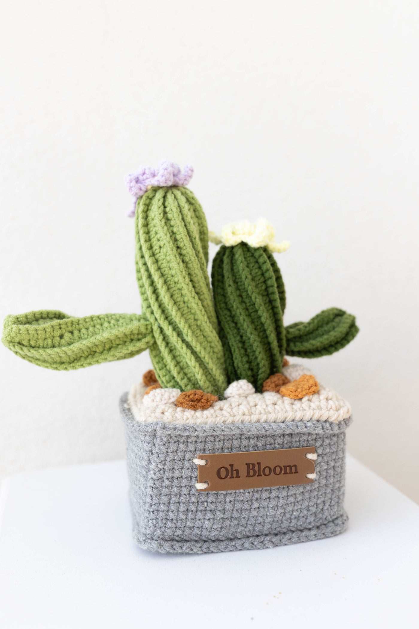Cactus Twin - The Zen Duo