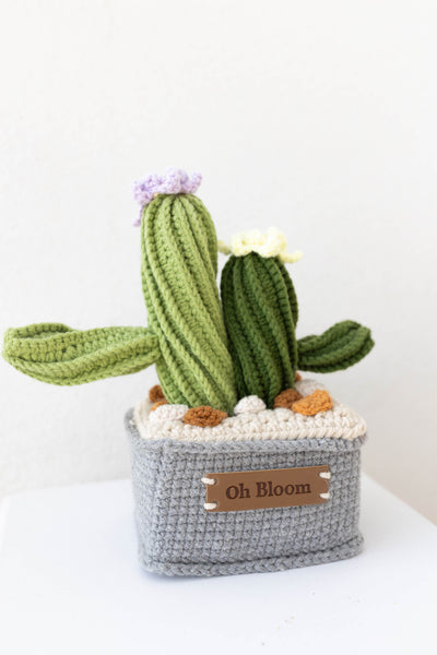 Cactus Twin - The Zen Duo