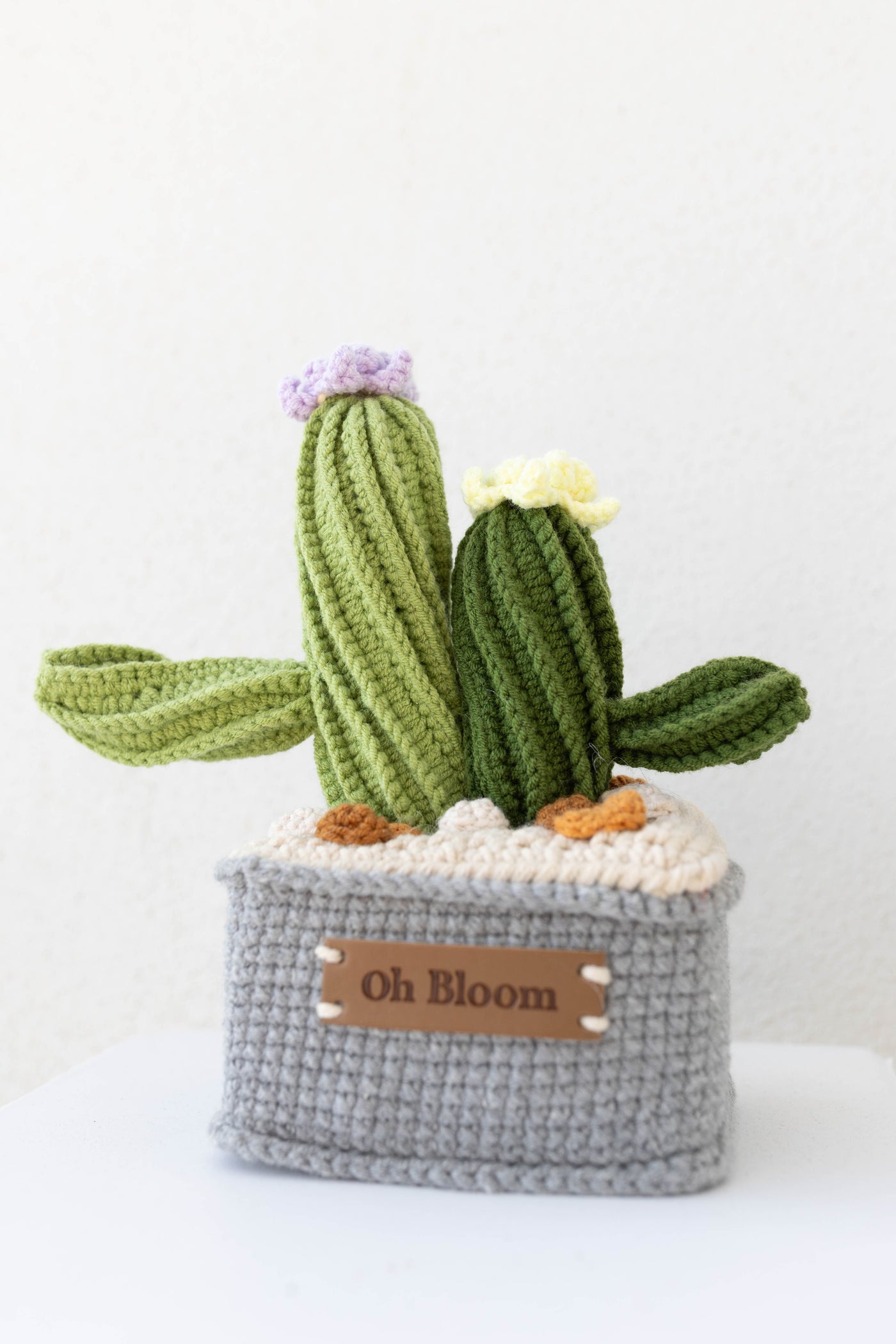 Cactus Twin - The Zen Duo