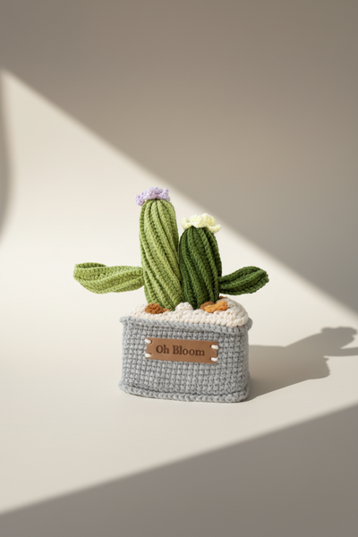 Cactus Twin - The Zen Duo