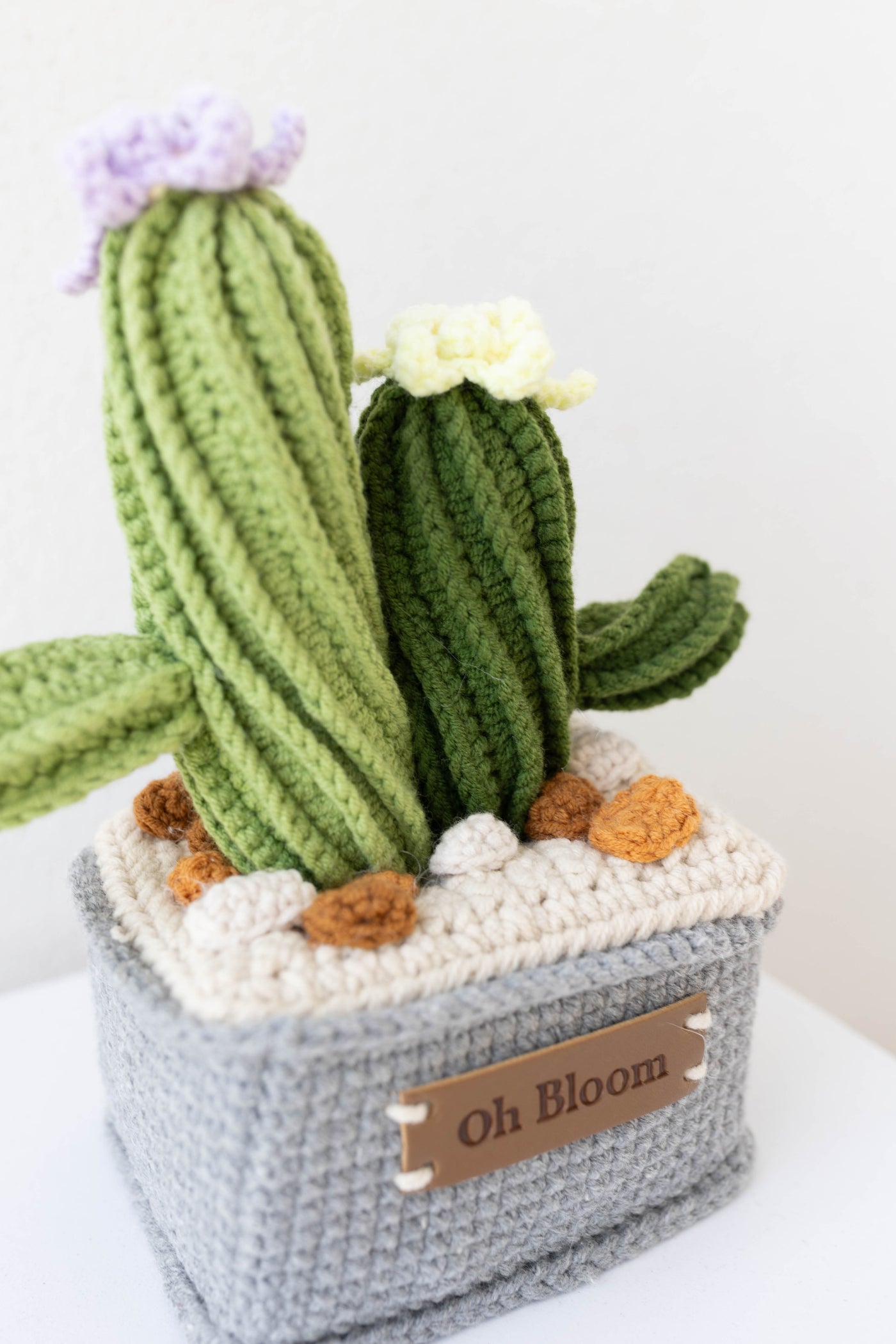 Cactus Twin - The Zen Duo