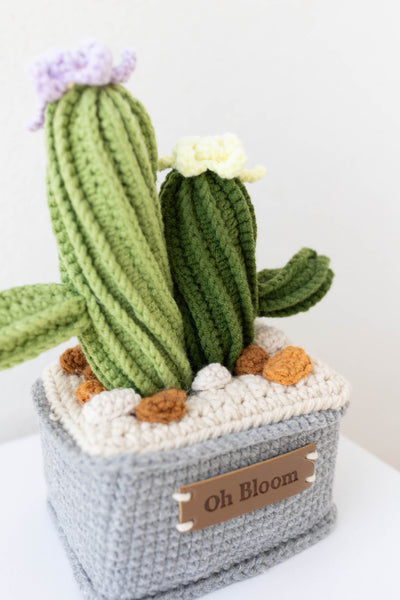 Cactus Twin - The Zen Duo