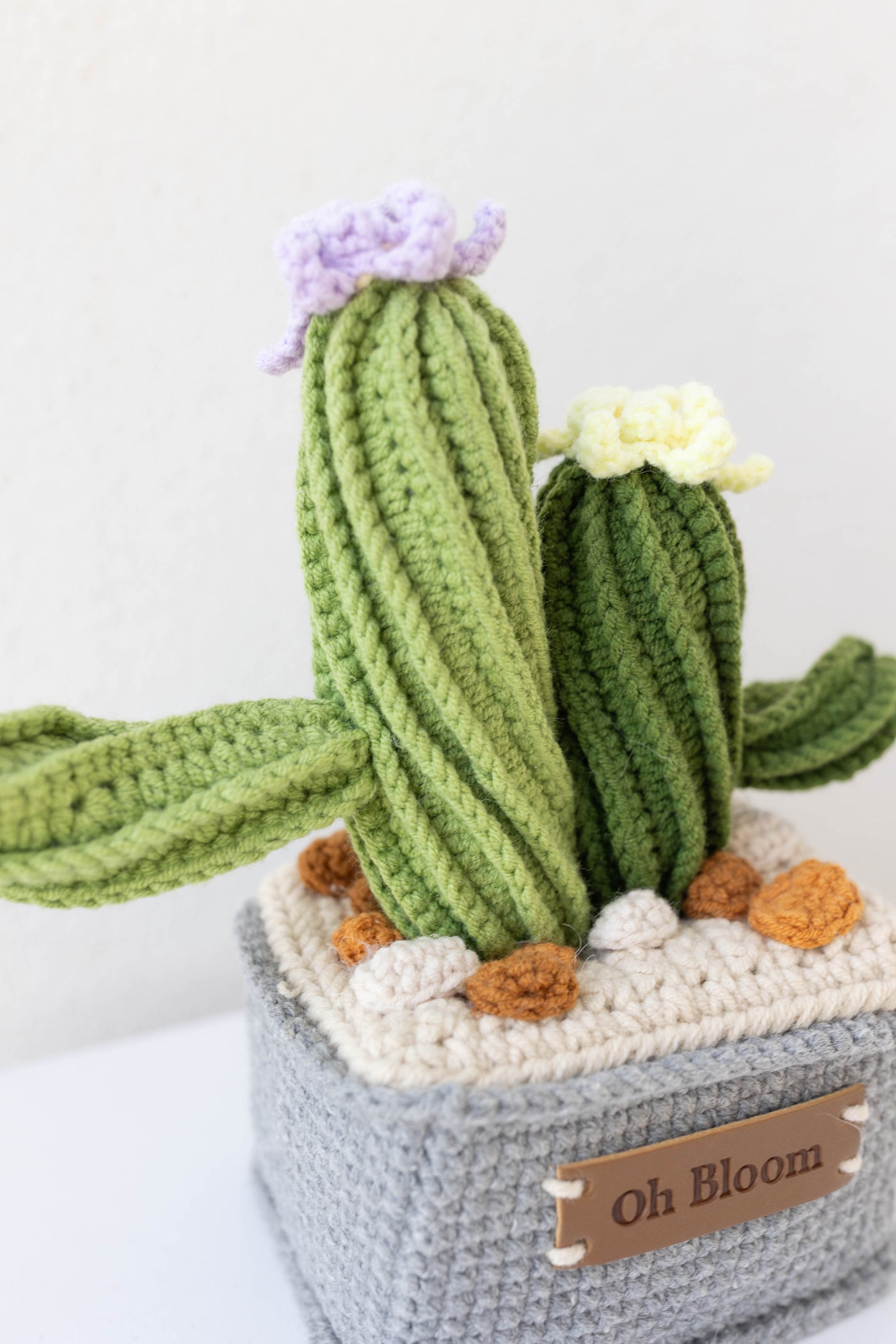 Cactus Twin - The Zen Duo